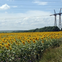 37926922